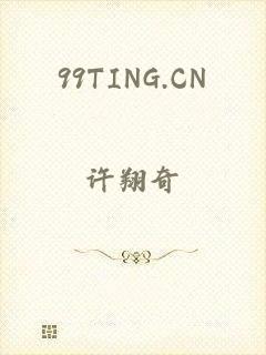 99TING.CN