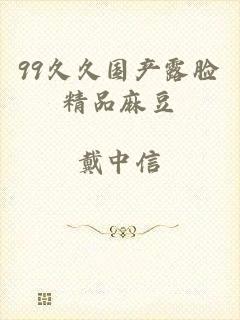 99久久国产露脸精品麻豆
