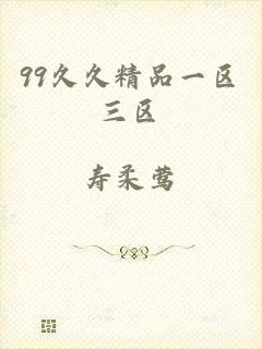 99久久精品一区三区