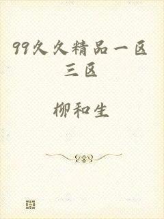 99久久精品一区三区