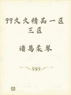 99久久精品一区三区