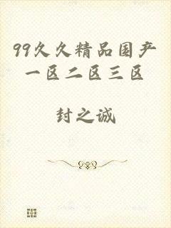 99久久精品国产一区二区三区