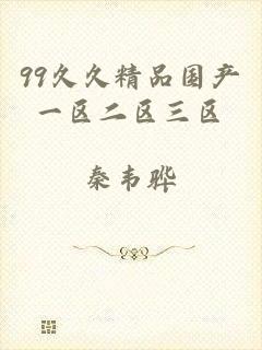 99久久精品国产一区二区三区