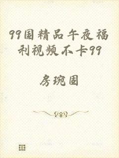 99国精品午夜福利视频不卡99