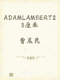 ADAMLAMBERT23厘米