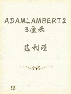 ADAMLAMBERT23厘米