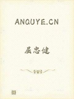 ANQUYE.CN