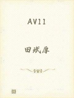AV11