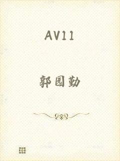 AV11