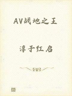 AV战地之王
