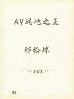 AV战地之王