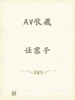 AV收藏