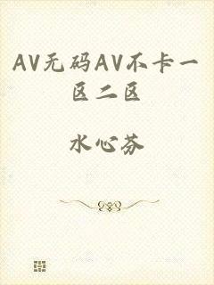 AV无码AV不卡一区二区