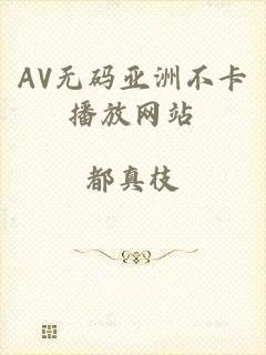 AV无码亚洲不卡播放网站