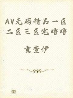 AV无码精品一区二区三区宅噜噜