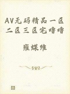 AV无码精品一区二区三区宅噜噜