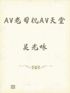 AV老司机AV天堂