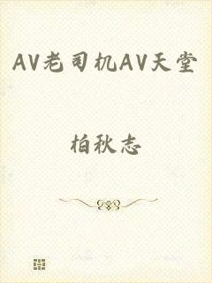 AV老司机AV天堂