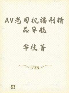 AV老司机福利精品导航