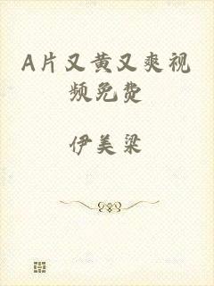A片又黄又爽视频免费