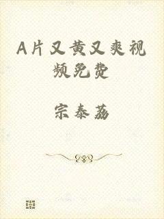 A片又黄又爽视频免费