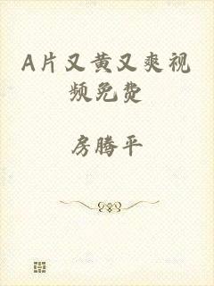 A片又黄又爽视频免费