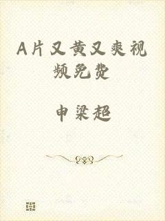 A片又黄又爽视频免费