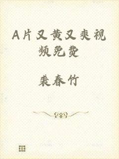 A片又黄又爽视频免费