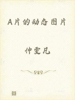 A片的动态图片