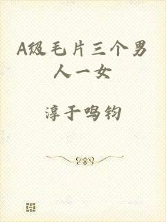 A级毛片三个男人一女