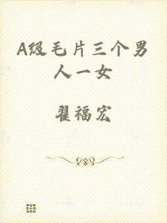 A级毛片三个男人一女
