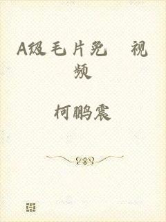 A级毛片免費视频