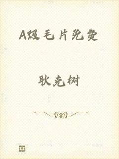 A级毛片免费
