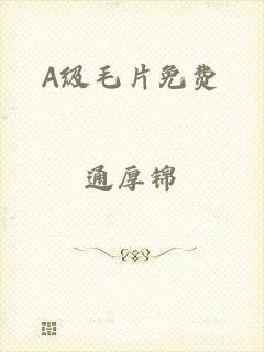 A级毛片免费