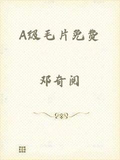 A级毛片免费