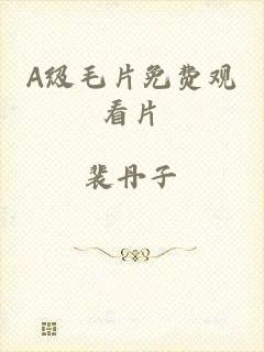 A级毛片免费观看片