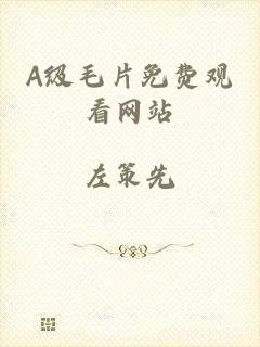 A级毛片免费观看网站