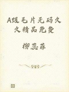 A级毛片无码久久精品免费
