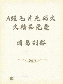A级毛片无码久久精品免费