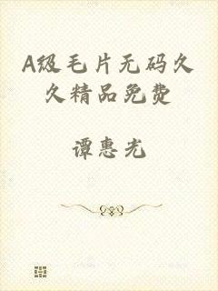 A级毛片无码久久精品免费