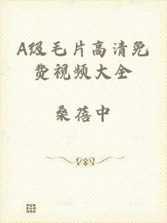 A级毛片高清免费视频大全