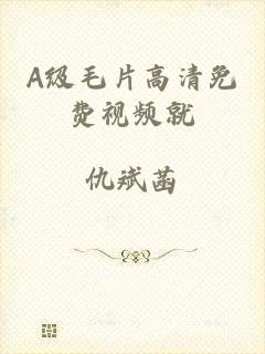 A级毛片高清免费视频就