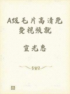 A级毛片高清免费视频就
