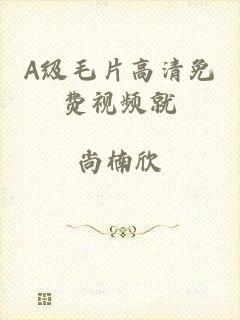 A级毛片高清免费视频就