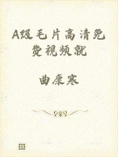 A级毛片高清免费视频就