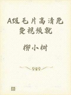 A级毛片高清免费视频就