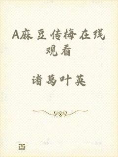 A麻豆传梅在线观看