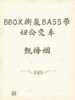 BBOX撕裂BASS孕妇公交车