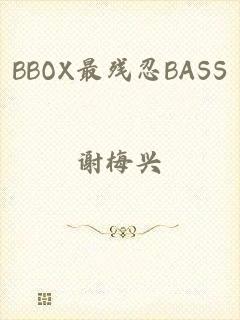 BBOX最残忍BASS