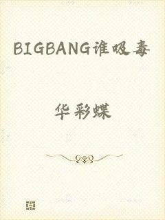 BIGBANG谁吸毒